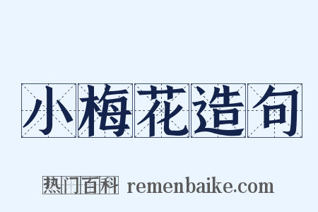 小梅花造句是什么意思的图片